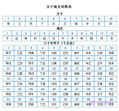 1996天干地支|干支对照表